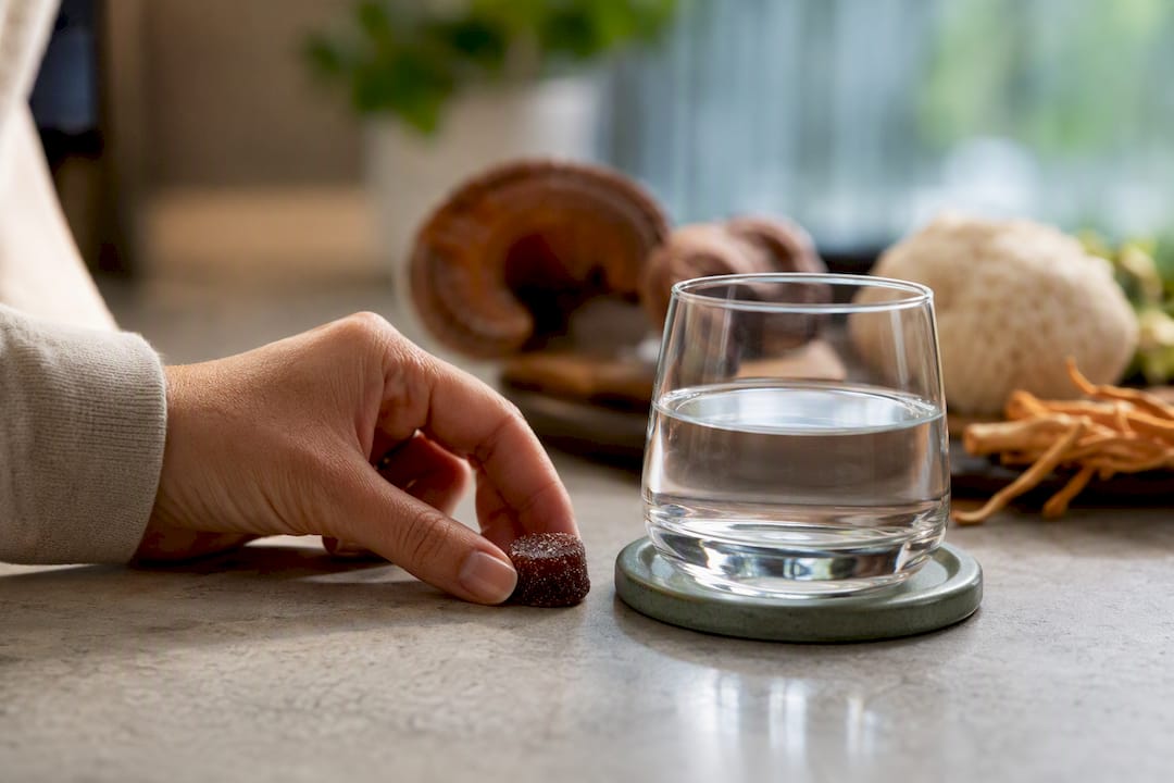 Mushroom gummy beside water and medicinal mushrooms